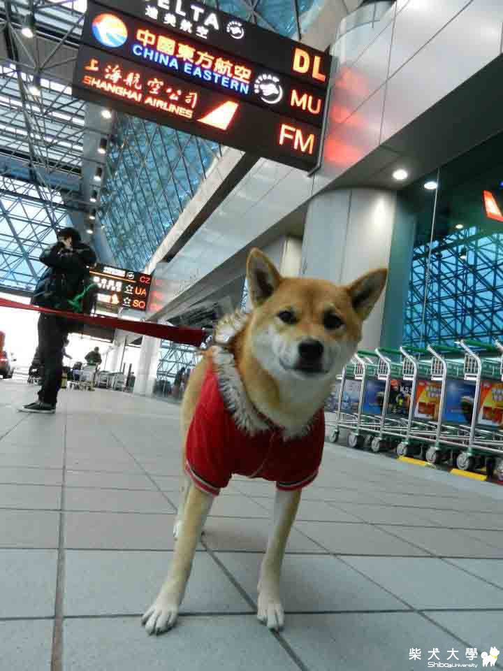 Q將過年返鄉遊日本(原發表者:Q將)(相簿)