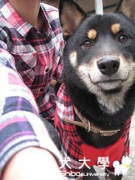 同款格子衫亮相(原發表者:Jinbabe)(相簿)