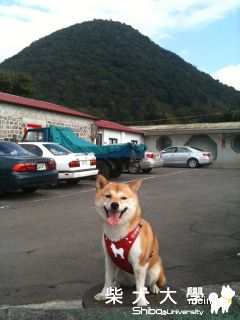 陽明山北投關渡一日遊(原發表者:nicole92)(相簿)