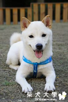 天氣好好，大家都出來玩吧!!(原發表者:nicloas)(相簿)