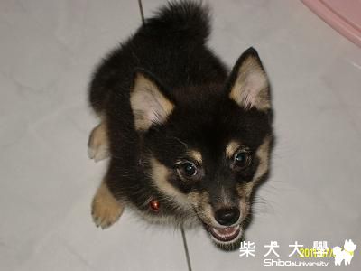 妳在拍我嗎??...女大18變(原發表者:COLA拔)(相簿)