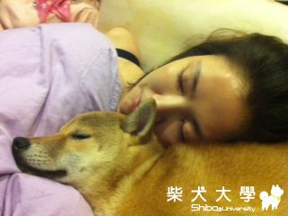 冠軍姐的新抱枕(原發表者:冠軍姐姐)(相簿)