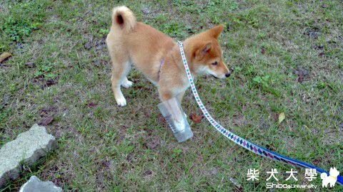 中午難得好天氣 !!(原發表者:sback)(相簿)