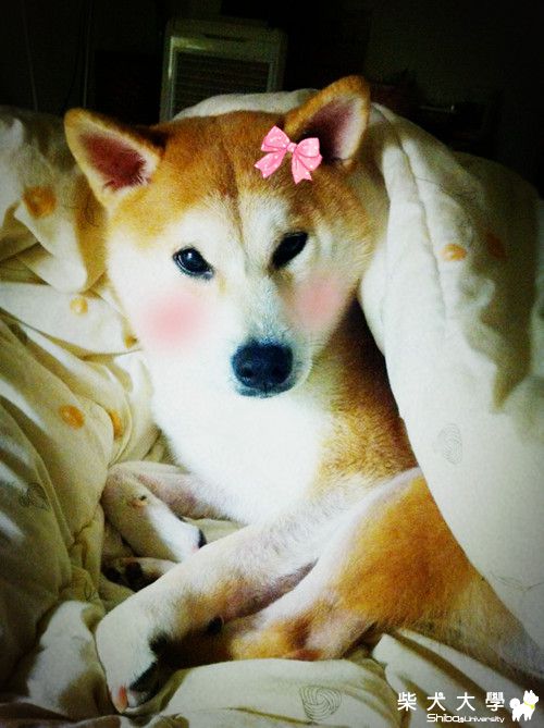 有這麼冷嗎~~~~~>"<(原發表者:KURI麻)(相簿)