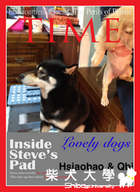 小寶上TIME 封面 + 洗牙實照(血腥照片/ 非喜勿入)(原發表者:阿寶)(相簿)