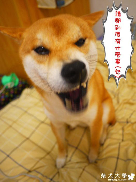 請問到底有什麼事!!(原發表者:hero0709)(相簿)