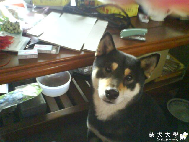 一直看著手中的零食=  =(原發表者:cady_226)(相簿)