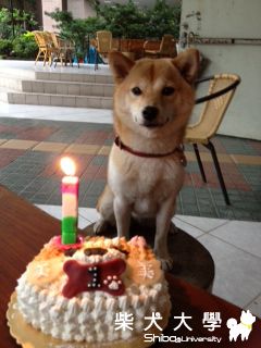 一歲生日&大驚喜(原發表者:nicole92)(相簿)