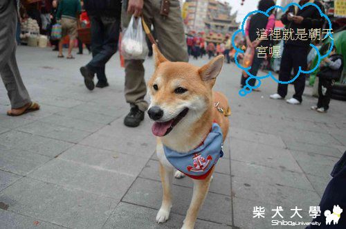 到北港朝天宮拜拜(原發表者:小YUKI媽)(相簿)