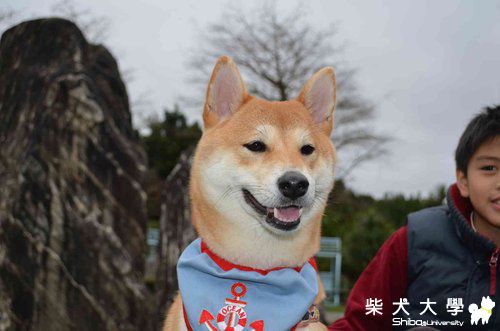 媽媽帶我去宜蘭露營(原發表者:小YUKI媽)(相簿)