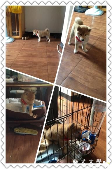 看圖說故事(原發表者:廖小潔)(相簿)