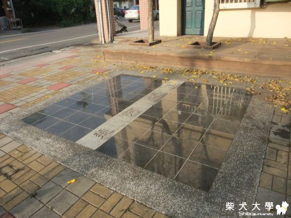 每到下午我要去散步(原發表者:貝瑞娘)(相簿)