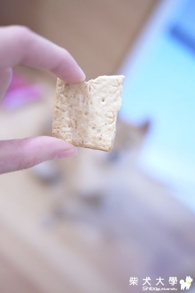 ＮＡＭＩ吃完零食會微微笑～～(原發表者:NAMI麻)(相簿)