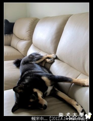 草莓第一彈(原發表者:草莓)(相簿)