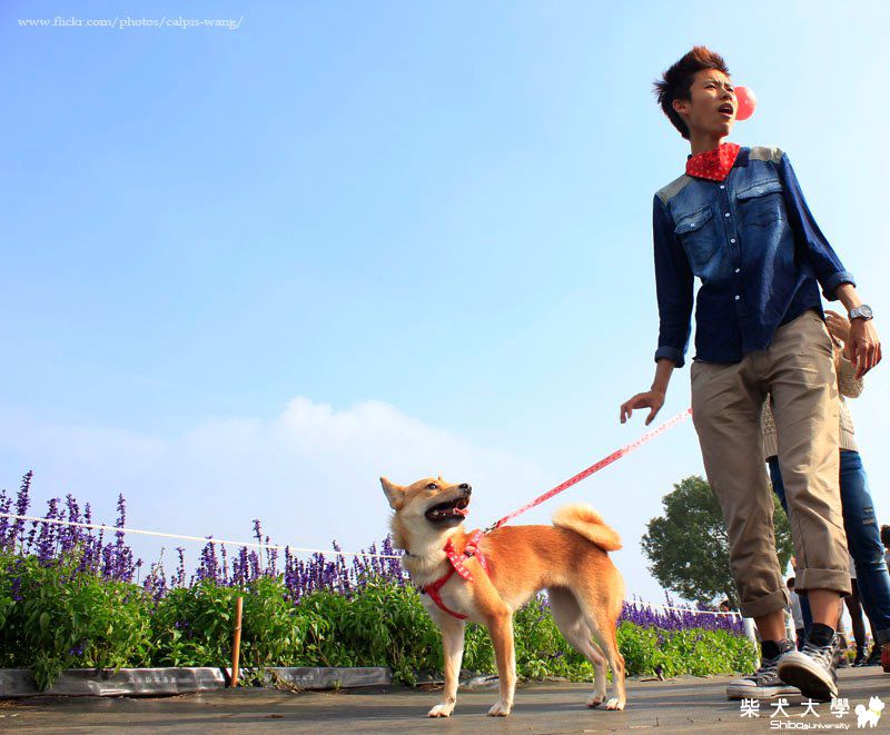 好久不見! NEMO寶貝女兒已經1歲多囉:)(原發表者:Nemo爸)(相簿)