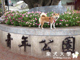 新莊青年公園踏青(原發表者:nicole92)(相簿)