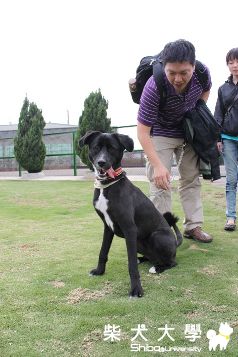 台中柏林餐廳(原發表者:哈吉的爹)(相簿)