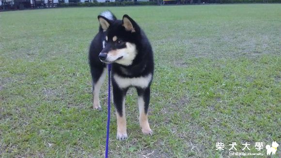散步去~(原發表者:養樂多爸)(相簿)