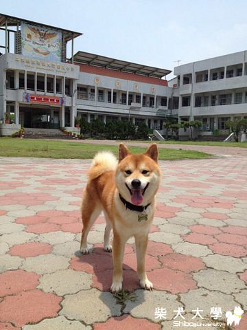 So Hot.(原發表者:雨過得彩虹)(相簿)