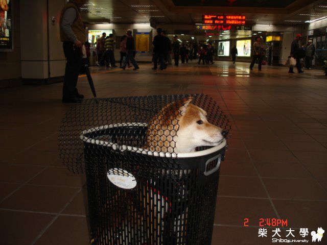 peigo第一次搭捷運(原發表者:peigo)(相簿)