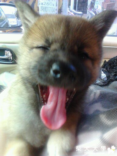 期待明天^^(原發表者:藍天星語)(相簿)