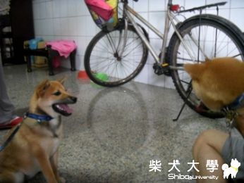 Hemay&軟軟相見歡~*(原發表者:guinjk)(相簿)