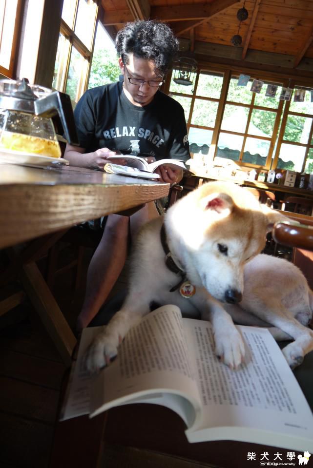 我家女兒也會看書ㄝ(原發表者:KURI麻)(相簿)