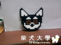 另一隻球球(原發表者:gvi45338)(相簿)