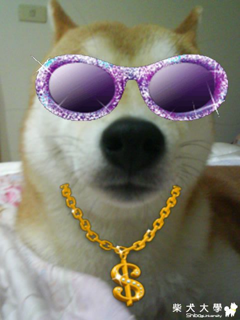 我發了!!暴發戶~(原發表者:恰恰姐)(相簿)