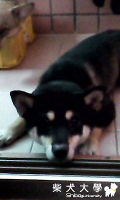 出發~第三次療程(原發表者:gvi45338)(相簿)