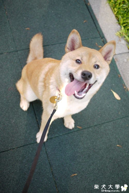 NAMI怎麼長眉毛了？！(原發表者:NAMI麻)(相簿)