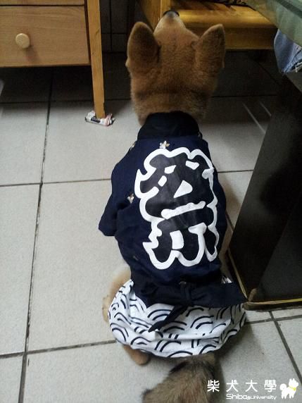 日系風..(原發表者:cookie家)(相簿)