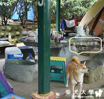 YUKI到金成露營跟第一次游泳(原發表者:小YUKI媽)(相簿)