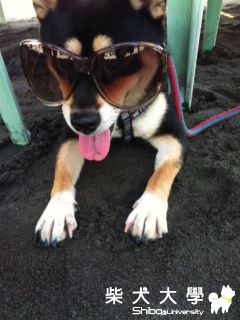 妹咕海邊玩水(原發表者:bibi)(相簿)