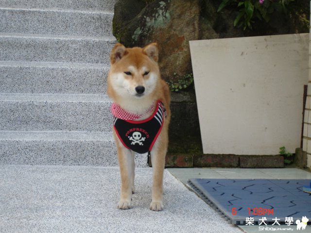 peigo的幸福花園.(原發表者:peigo)(相簿)