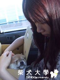 球球‧與妳的相遇(原發表者:球球a麻)(相簿)