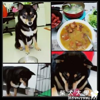 等待與享受~~(原發表者:草莓)(相簿)