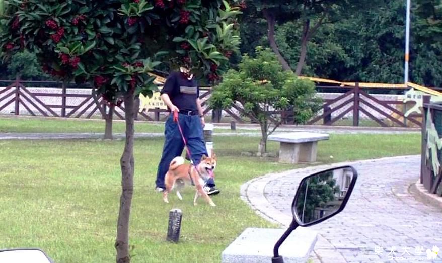 桃園市中成寵物公園—也被6.12豪雨侵蝕潰決了(原發表者:吉谷家)(相簿)