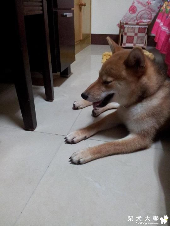 yumi(原發表者:bellsgirl0313)(相簿)