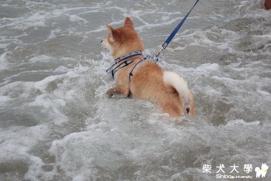 墾丁之咪醬~*柴*踩*水*^^(原發表者:咪醬媽)(相簿)