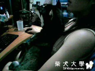 球球油桶..(原發表者:gvi45338)(相簿)