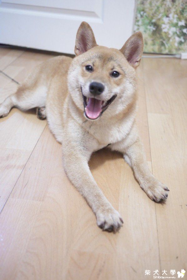 房間裡面有什麼吃的呢..(原發表者:NAMI麻)(相簿)