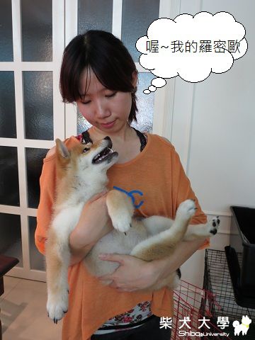 球球‧姊妹小蓉來探望(原發表者:球球a麻)(相簿)