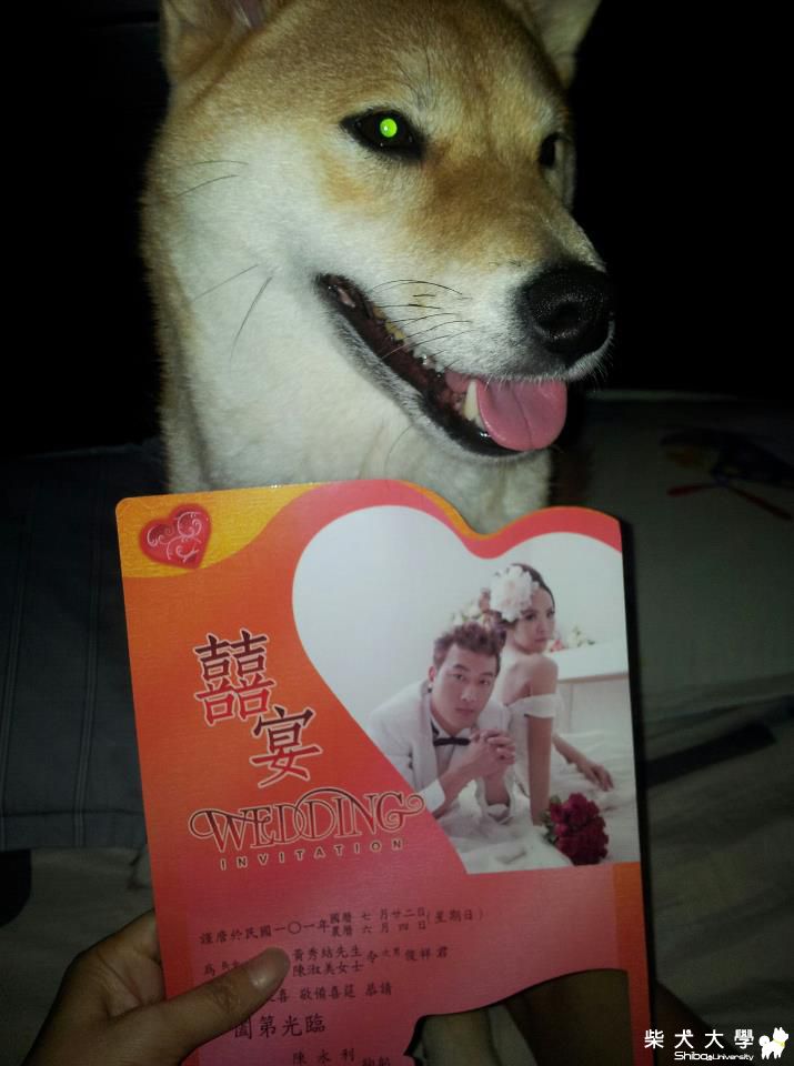 ㄎㄎㄎ和喜帖合照(原發表者:kiwi北鼻)(相簿)