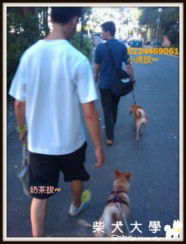 奶茶和小虎一起去爬壽山(原發表者:奶茶麻)(相簿)