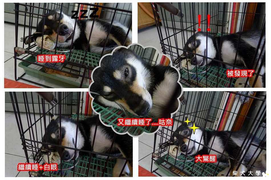 妳馬卡秀氣點....(原發表者:黑妞寶)(相簿)