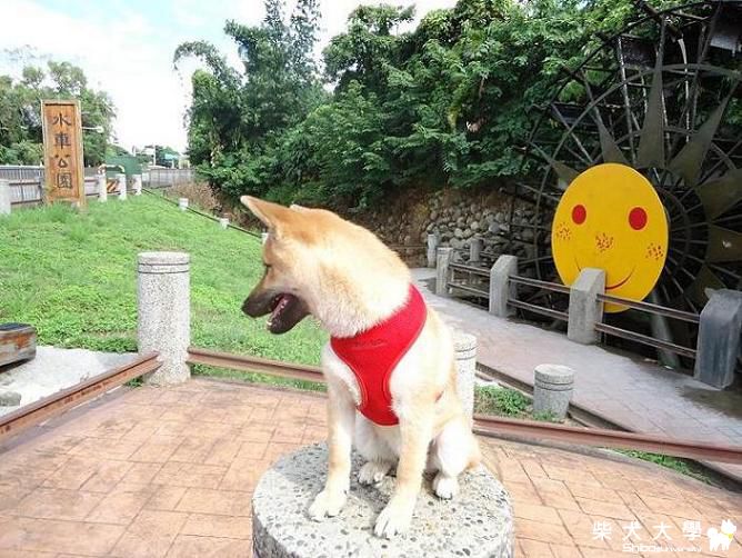 南投趴趴走一日遊(原發表者:藍天星語)(相簿)