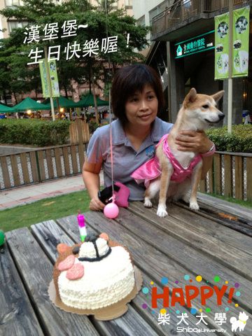 漢堡一歲生日了喔~~(原發表者:nicole92)(相簿)