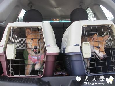 衛武營漫步(原發表者:嚕嚕)(相簿)