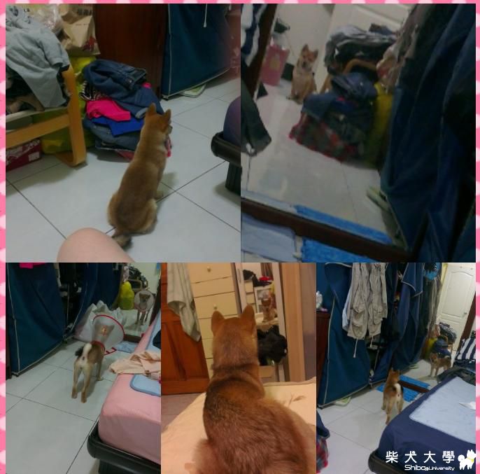 很愛漂亮呐妳...(原發表者:shineape)(相簿)